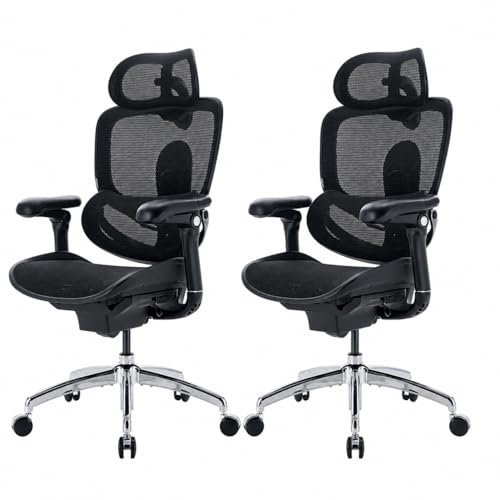 SIHOO Doro C300 Pro V2 Ergonomic Office Chair, 135° Recline, 2 Packs, Black | Full-Body Adaptive Support, 8D Armrests & Breathable Mesh, Comfy High Back Computer Desk Chair for Long Hours - color: Black, size: Pack of 2