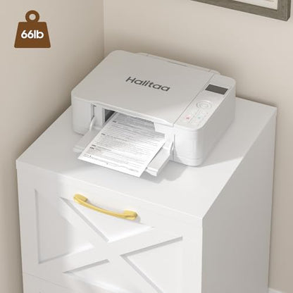 Halitaa Farmhouse 2 Drawer Small File Cabinet with Wheels, White - color: White