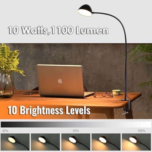 Long Gooseneck Clamp Lamp, Clip Desk Lamp with Clamp, 10W, 1100 LMS, 3 Color Modes, 10 Brightness Levels, 31 Inches Long Flaxible Gooseneck, Perfect for Craft, Reading, Home, Office - size: Large