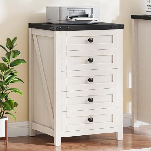 Halitaa 5 Drawer Small File Cabinet, Farmhouse Vertical Filing Cabinet - color: Rustic White and Black