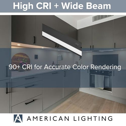 American Lighting LED Courant Plus Undercabinet Light 24 Inch 5CCT 90+ CRI 1200 Lumens with USB-A USB-C and 20A Receptacles Black Finish Title 24 Compliant