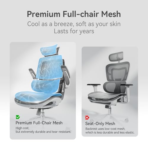 SIHOO M59AS Ergonomic Office Chair, Adaptive Lumbar Support, 2 Packs, Grey - color: Grey, size: Pack of 2