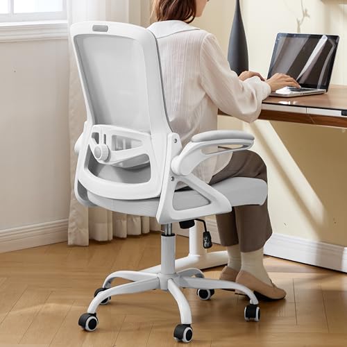 Ergonomic Office Chair, Desk Chair with Adjustable Lumbar Support, Breathable Mesh Comfy Computer Chairs with Flip-up Armrests Executive Task Chair for Adults Home Office(Gray) - color: Grey