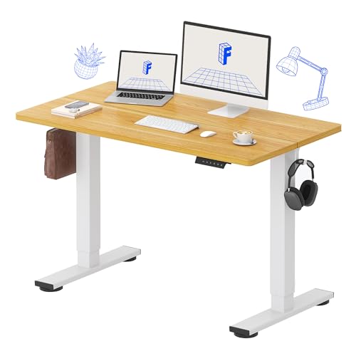 FLEXISPOT 48x24 Inch Electric Standing Desk, Maple | Home Office, Remote Work, Study Space, Laptop & Monitor Setup, Everyday Use, Spliced Desktop - color: Maple, size: 48"x24"