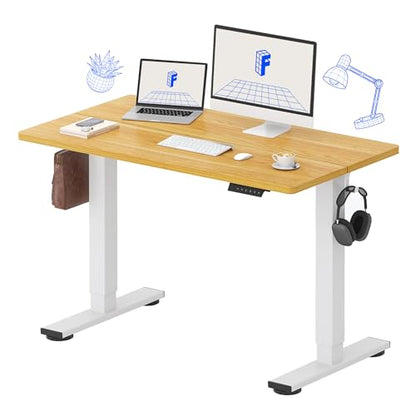 FLEXISPOT 48x24 Inch Electric Standing Desk, Maple - color: Maple, size: 48"x24"