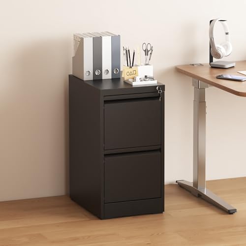 2 Drawer File Cabinet with Lock, Vertical Filing Cabinets for Home Office, Metal Storage Cabinets, Heavy Duty File Cabinet for Letter/Legal/A4/F4 Size Amsseble Required, Black - color: Black, size: 2 Drawers-Letter/Legal/A4/F4