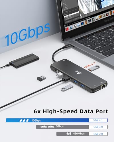 13-in-1 Docking Station Dual Monitor 4K LIONWEI USB C Hub for Laptop Mac - color: 13-in-1 Black