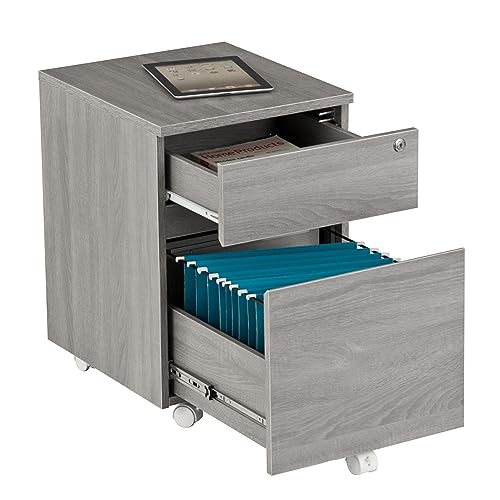 2‑Drawer Rolling File Cabinet with Lock, Under‑Desk Storage & Wheels, Grey