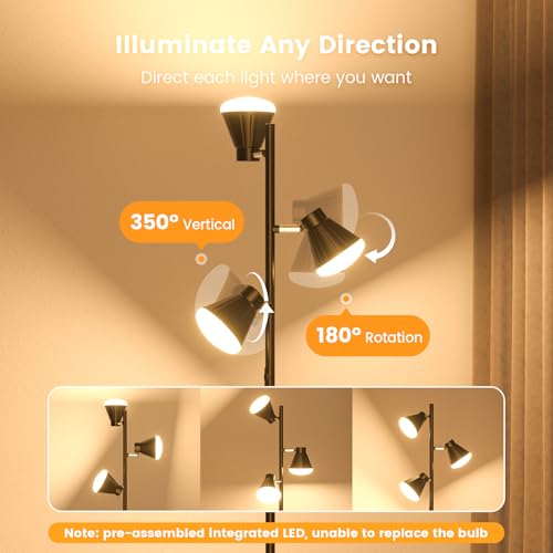 SIBRILLE 36W LED Tree Floor Lamp with Remote for Living Room Bedroom - color: Black