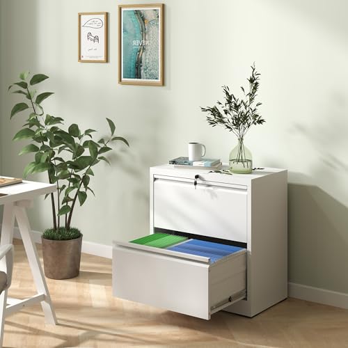 2 Drawer Lateral File Cabinet with Lock,White Metal Filing Cabinet - color: White, size: 26.8"W-2 drawers
