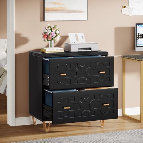 Tribesigns 2-Drawer Lateral File Cabinet, Black and Gold | Modern, Legal/Letter/A4 Size, Large Storage, Printer Stand, Home Office - color: Black & Gold