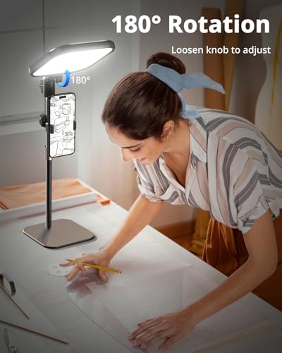 UBeesize Zoom Lighting for Computer, Video Conference Lighting for Video Calls, Desk Light with Stand and Phone Holder for Webcam, Home Office, Podcast, Online Meetings, Live Streaming（2 Pack - style: 2-pack