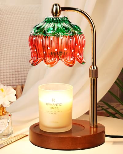Strawberry Candle Warmer Lamp with Timer & Dimmable Brightness, House Warming Gift New Home, Christmas Birthday Gifts for Women Mom Her, Home Decor, Flameless Wax Melt Warmer for Jar Candles - color: 09 Strawberry