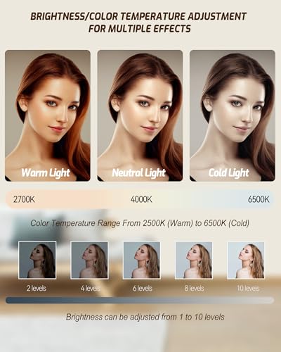 Portable Selfie Light for iPhone: 90 LED Rechargeable Phone Fill Lights, Ring Light for Camera Picture, Makeup Photo, Video Conferences, Laptop Use, Zoom Meetings, TikTok, Vlog Photography - color: Black