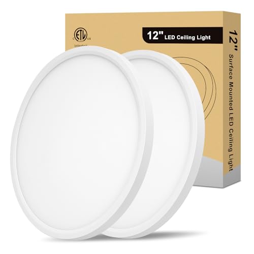 Flush Mount LED Ceiling Light - 12 Inch, Dimmable and 5CCT Selectable, 24W 2800LM Low Profile Light Fixture for Bedroom, Bathroom, Sloping Ceilings,12 Inch 2Pack White - color: White-2 Pack, size: 12 Inch