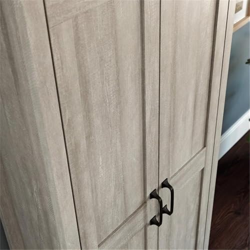 Sauder Miscellaneous Storage, Two-Door Storage Cabinet, in Spring Maple Finish - color: Spring Maple