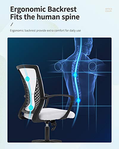 Home Office Chair Mid Back PC Swivel Lumbar Support Adjustable Desk Task Computer Ergonomic Comfortable Mesh Chair with Armrest (White) - color: White