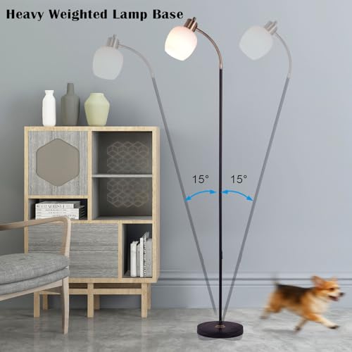 Adjustable Reading Floor Lamp,360°Rotatable Shade,3CCT LED Bulb Include,Black Gooseneck - color: Black Glass Shade