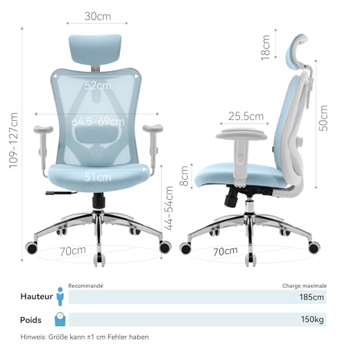 SIHOO M18 Ergonomic Office Chair, Computer Desk Chair with Adjustable Headrest and Lumbar Support, High Back Executive Swivel Chair for Home Office (Light Blue) - color: Light Blue, size: Pack of 1