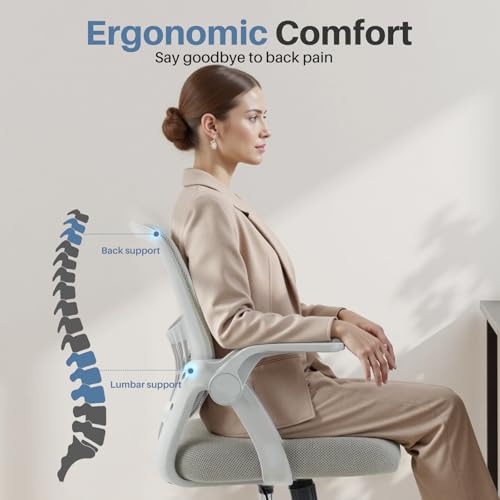 DUMOS Office Chair, Ergonomic Home Desk Chair, Ergonomic Lumbar Support - color: Grey Flip Arm