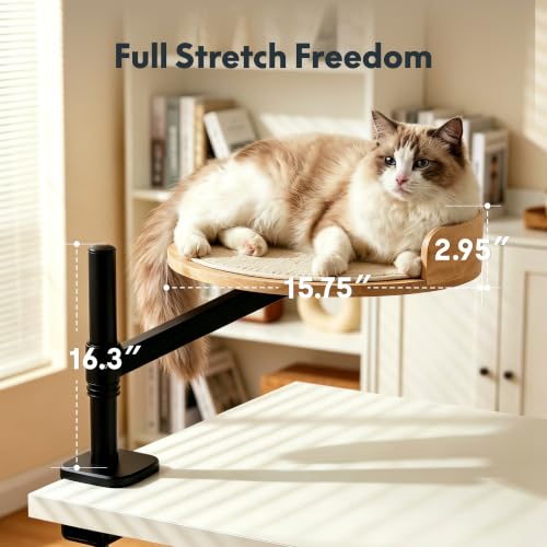 FLEXISPOT EN2 55"x28" Standing Desk with Solid Wood Cat Bed, Maple - color: Maple Top + White Frame, size: 55x28 | Cat Bed