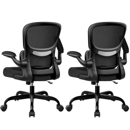ALLGOD Ergonomic Office Chair, Breathable Mesh Ergonomic Desk Chair with Lumbar Support, Flip-up Armrests, Computer Chairs Comfortable for Home, Office, Work, Standard, 2 Pack - color: Black(standard), size: 2 Pack
