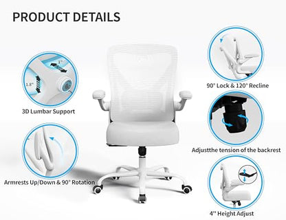 Ergalithic Office Chair: Mesh Ergonomic Desk Chair with 3D Lumbar & Swivel - color: White, size: Pack of 1