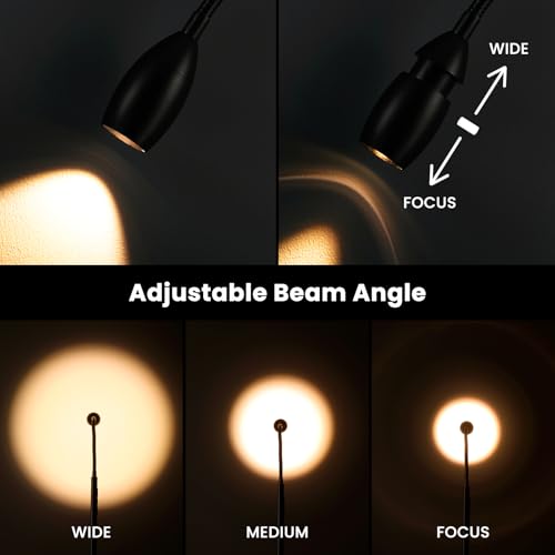 Reading Floor Lamp, Dimmable LED Floor Lamp with Remote, Standing Lamp with Flexible Gooseneck, Zoomable Spotlight, Reading Light, Task Crafting Tall Lamps for Living Room Office Bedroom