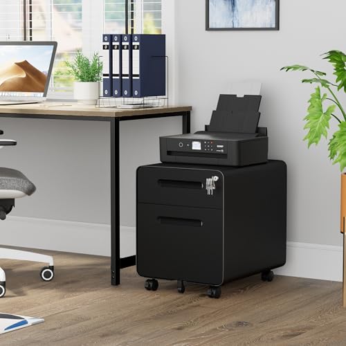 2 Drawer Mobile Low Profile File Cabinet with Lock and 4 Keys | Metal Filing Cabinet for Home Office, Under Desk, Pre-Assembly, File Drawer, Letter/Legal/A4 Hanging File Folders - color: Black, size: 19.1"H*15.7"W-2 Drawers