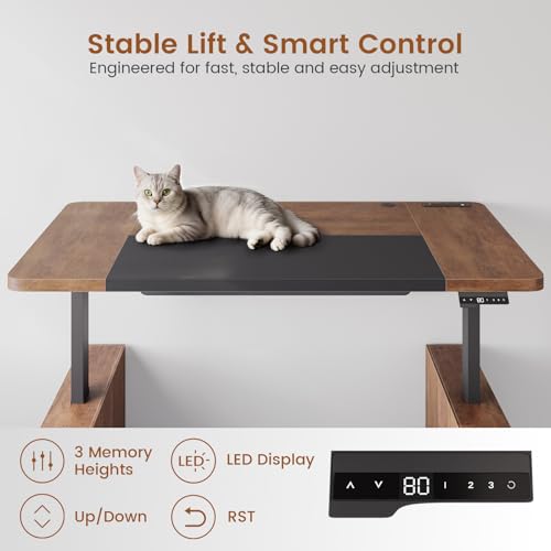 SEDETA 63" Executive Standing Desk with Storage, Executive Height Adjustable Desk with Power Outlets, Large Computer Office Desk with Privacy Panel for Home Office, Warm Golden Brown - color: Warm Golden Brown