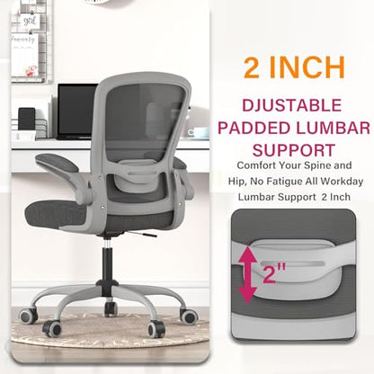 Ergonomic Office Chair w/Adjustable Lumbar, Flip Armrest, 135° Recline - color: Iron Gray With Gray Frame
