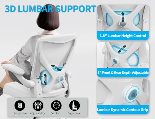 Ergalithic Office Chair: Mesh Ergonomic Desk Chair with 3D Lumbar & Swivel - color: White, size: Pack of 1