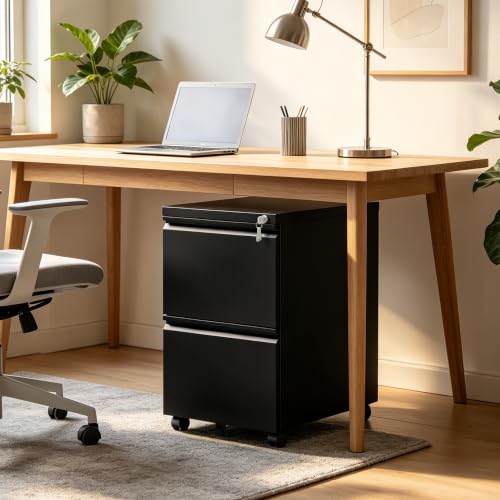 SAWJEC 2 Drawer Rolling File Cabinet Fully Assembled, Black - color: 01b-black