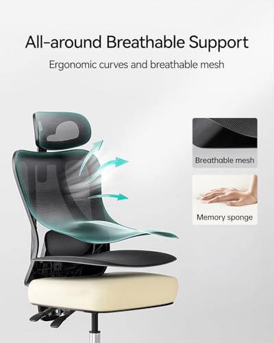 Hbada P3 Ergonnomic Office Chair with 2D Adjustable Lumbar Support, Office Chair with Adjustable Headrest and Armrest, 145° Stepless Tilt Function, Black(No Footrest)