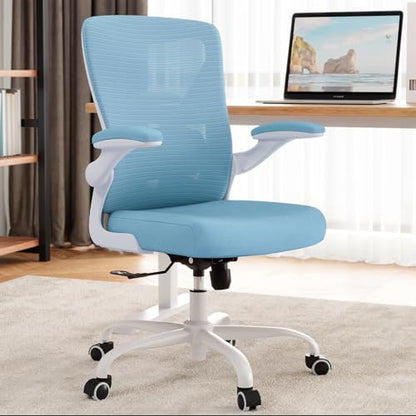 Ergalithic Office Chair: Mesh Ergonomic Desk Chair with 3D Lumbar & Swivel - color: Sky Blue, size: Pack of 1