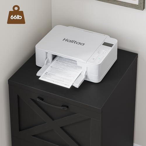 Halitaa Farmhouse 2 Drawer Small File Cabinet with Wheels, Rustic Black - color: Rustic Black, size: 2 Drawer