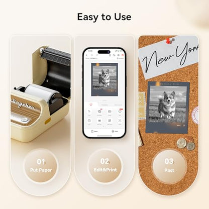 NIIMBOT B21 Pro 300 DPI Bluetooth Label Maker with Tape, Beige - color: Beige
