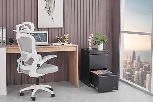 Guizeeopo 2 Drawer File Cabinet with Lock, Vertical File Cabinets for Home Office, Printer Stand, Heavy Duty Steel Office Storage Cabinet for Letter/Legal/A4, Assembly Required(Black) - color: 13-g Black
