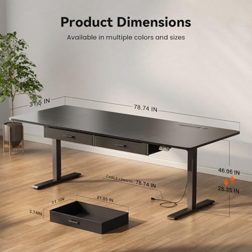 HLDIRECT 79" Electric Standing Desk with Power Outlets & 2 Drawers, Black | 31.5" Extra Wide Desktop Up to 176lb, 28"–46" Height Range & 3 Memory Presets, Integrated Cable Management, Quick Assembly - color: Black, size: 79 inch