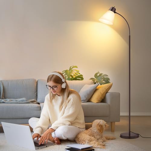 Coucrek Floor Lamp, Reading Floor Lamps for Living Room - color: Brown