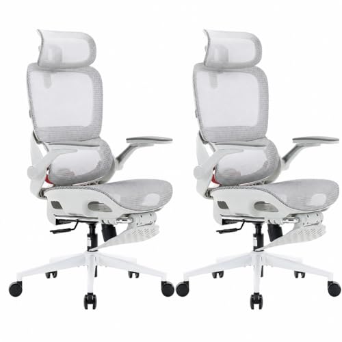 SIHOO B100 Pro Ergonomic Office Chair with Adaptive Lumbar Support, Computer Chair with Dual-Back, Desk Chair with 360° Rotatable & Flip-Up Armrests, 3D Wide Headrest, 2 Packs, Light Grey - color: Light White, size: Pack of 2