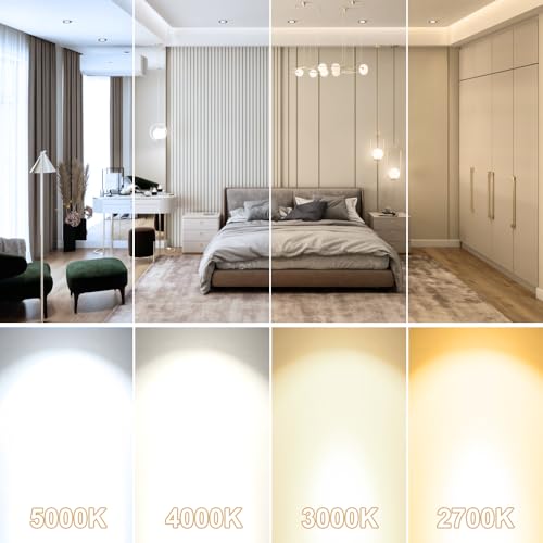 2 Inch LED Downlight, Recessed Lighting Dimmable Ceiling Light, 3W, 3000K Warm White, CRI80 with LED Driver(35W Halogen Equivalent), Black 20 Pack - color: Warm White, size: Black/20 Pack