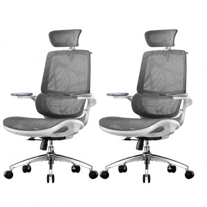 SIHOO M59AS Ergonomic Office Chair, Adaptive Lumbar Support, 2 Packs, Grey - color: Grey, size: Pack of 2