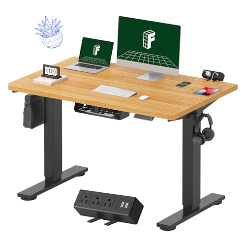 FLEXISPOT EN2 48"x30" Standing Desk with Power Strip Bundle, Maple - color: Black Frame + Maple Top, size: 48x30