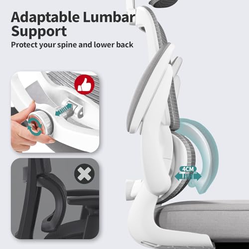 TRALT Office Chair Ergonomic Desk Chair - Gaming Chair with Lumbar Support | 330 LBS Home Office Desk Chairs with Headrest, Reading Chair with Flip-up Armrests, Comfortable Computer Chairs (1, Grey) - color: Light Grey