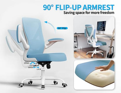 Ergalithic Office Chair: Mesh Ergonomic Desk Chair with 3D Lumbar & Swivel - color: Sky Blue, size: Pack of 1