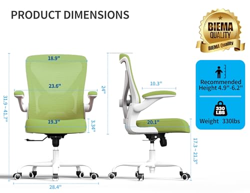 Ergalithic Office Chair: Mesh Ergonomic Desk Chair with 3D Lumbar & Swivel - color: Green, size: Pack of 1