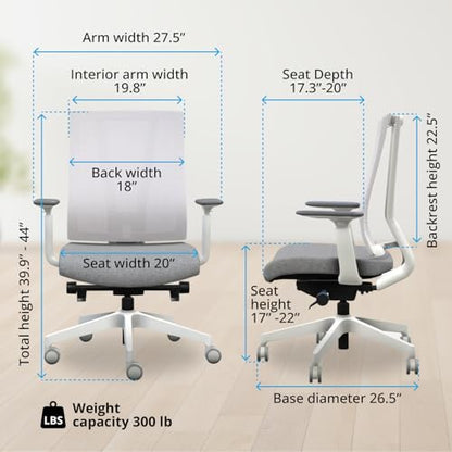 Clarksville Ergonomic Office Chair, Adjust Lumbar Support, Fog | Mesh Back Office Chair, Synchro-Tilt Recline Home Office Desk Chairs with 3-Way Arms, 300 lb Capacity Computer Chair - color: Fog