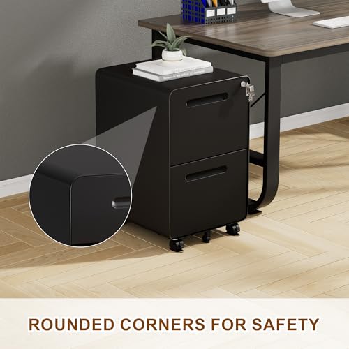 2 Drawer Mobile File Cabinet with Lock, 4 Keys and 25 Letter File Folders | Heavy-Duty Steel Rolling Filing Cabinet Pre-Assembled Under Desk for Home Office Letters/Legal/A4 Hanging File Folders - color: Black, size: 25.8"H*15.7"W-2 drawers(25 letter fold