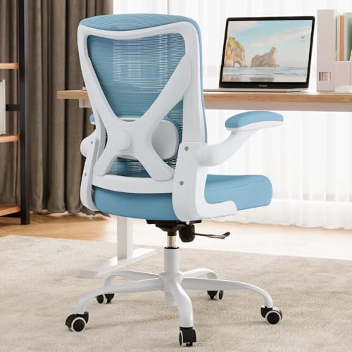 Ergalithic Office Chair: Mesh Ergonomic Desk Chair with 3D Lumbar & Swivel - color: Sky Blue, size: Pack of 1